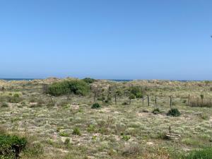 Mon Petit Paradis, vue sur dunes et mer, accès direct plage Robinson, terrasse, WIFI, parking privé, très ressourçant, à Marseillan Plage