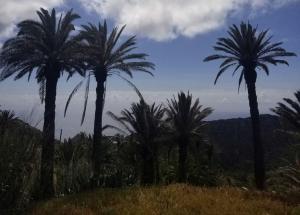 Hyggeland Gomera I - Oase der Stille im Palmendorf Tazo