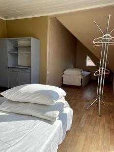 Pas Ireną Šventojoje