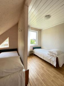 Pas Ireną Šventojoje