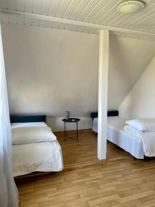 Pas Ireną Šventojoje