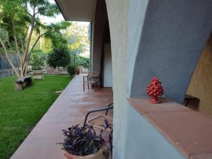 Casa degli Ulivi Etna
