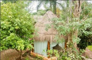OMA CANCUN - Holistic Healing Center