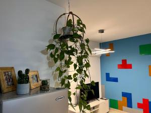 Fat Cow Apartment 103