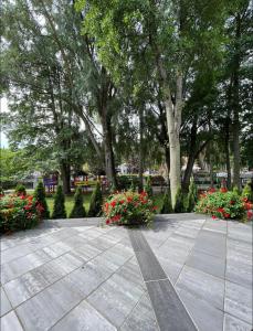 Central Studio 300m to the beach