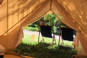 Campings CAMPING VERT LAVANDE : Tente