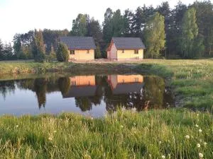 Domki kajaki Wda - Bak