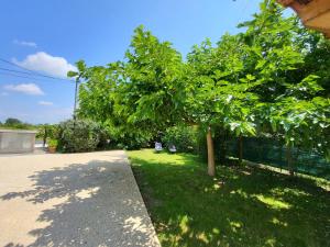 Maisons de vacances Gite VENITIA : photos des chambres