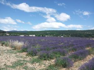 Maisons de vacances Location provence ventoux sault : photos des chambres