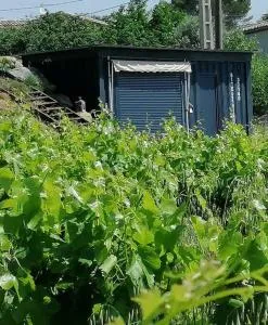 Conteneur avec spa privé face aux vignes - Lèzan