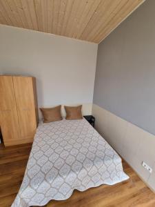 Apartamentai Sinagogos 9