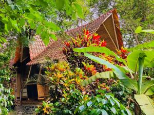 Río Muchacho Organic Farm