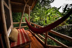 Río Muchacho Organic Farm