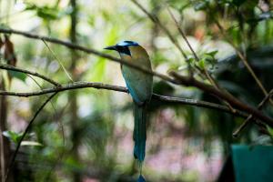 Río Muchacho Organic Farm