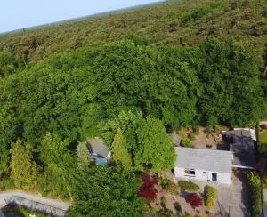 Forest Lodge VIP Luyksgestel 2-6 personen, veel privacy! - Duizel