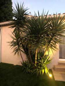 Villas VILLA FLAVIE- Luxueuse - Confort Jardin Barcecue Borne Recharge Electrique 10min PLAGE- FAMILLE-PISCINE-TOP PROS SERVICES Conciergerie : photos des chambres