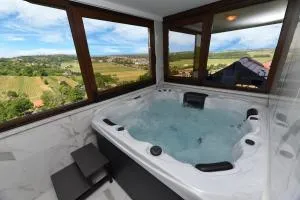 Kuća za odmor Orly, jacuzzi, sauna, prekrasan pogled - Ludbreg