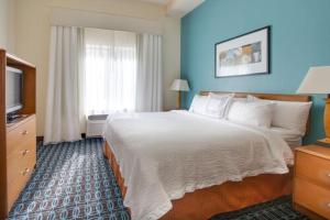 Executive King Room with Sofa Bed room in Fairfield Inn & Suites Clermont