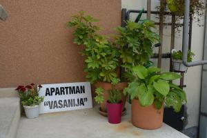 Apartman Vasanija