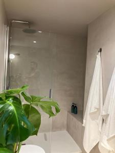 Céntrico con jardín en Santander