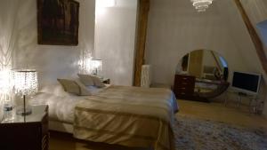 Hotels Chateau - Hotel Le Sallay : photos des chambres