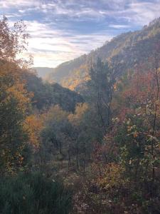 Maisons de vacances Au coeur de l’Ardeche : photos des chambres