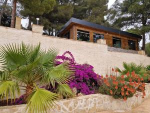 Olta 5 Sea View RESORT