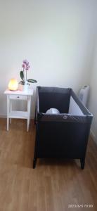 LE PHENIX à internet haut débit & parking