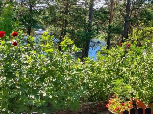 6 person holiday home in DJURHAMN-By Traum