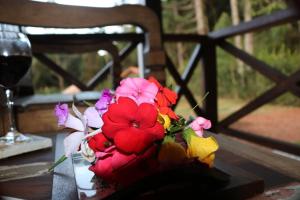 Chalés das Orquídeas