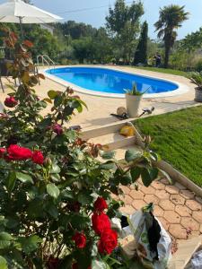 Villa Ljubica with big beautiful garden