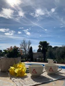 Villa Ljubica with big beautiful garden