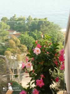 Apartman SMARAGD Živogošće