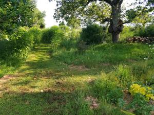 Chalets Le petit paradis, mini maison,nature,confort,calme : photos des chambres