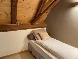 Maison de charme en Alsace - IN VINO VERITAS - 12 personnes