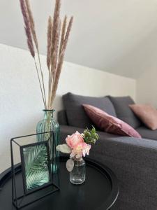 Beau Studio Cosy proche frontière Suisse