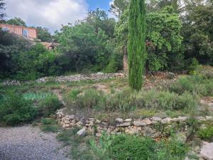 Sejours chez l'habitant Villa Mycenes : Chambre Double - Vue sur Jardin