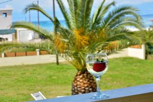 Eleonora Sidari Beach House