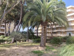 Appartement 2 pièces à Fréjus avec piscine, parking et à 300m des commerces - FR-1-226A-145