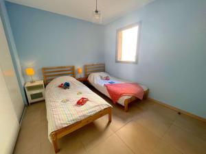 Appartements Appartement de vacances climatise avec terrasse et garage au coeur du centre historique de Frejus - FR-1-226A-290 : photos des chambres