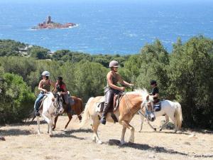 Appartements Appartement de vacances climatise avec terrasse et garage au coeur du centre historique de Frejus - FR-1-226A-290 : Appartement (4 Adultes)