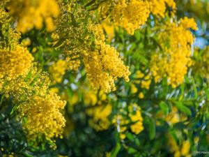 Appartements Appartement de vacances climatise avec terrasse et garage au coeur du centre historique de Frejus - FR-1-226A-290 : photos des chambres