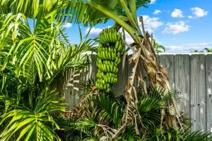 Shady Grove Villa - Gulf Stream