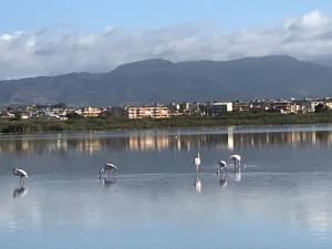 Villa Dormi'RE Sul Golfo img48