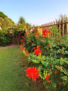 Villa Dormi'RE Sul Golfo img37