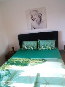 Apartman SMARAGD Živogošće