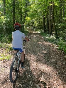 Maisons de vacances Les Chenevieres : photos des chambres