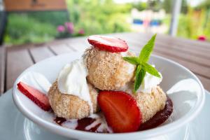 Amenity Penzion Horni Vestonice