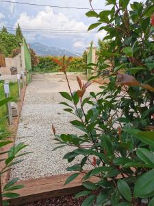 Chalets Dependance cosy entre jardin et piscine : photos des chambres