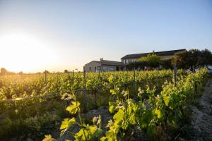 Maisons de vacances Mas Winery Les Cardelines : photos des chambres